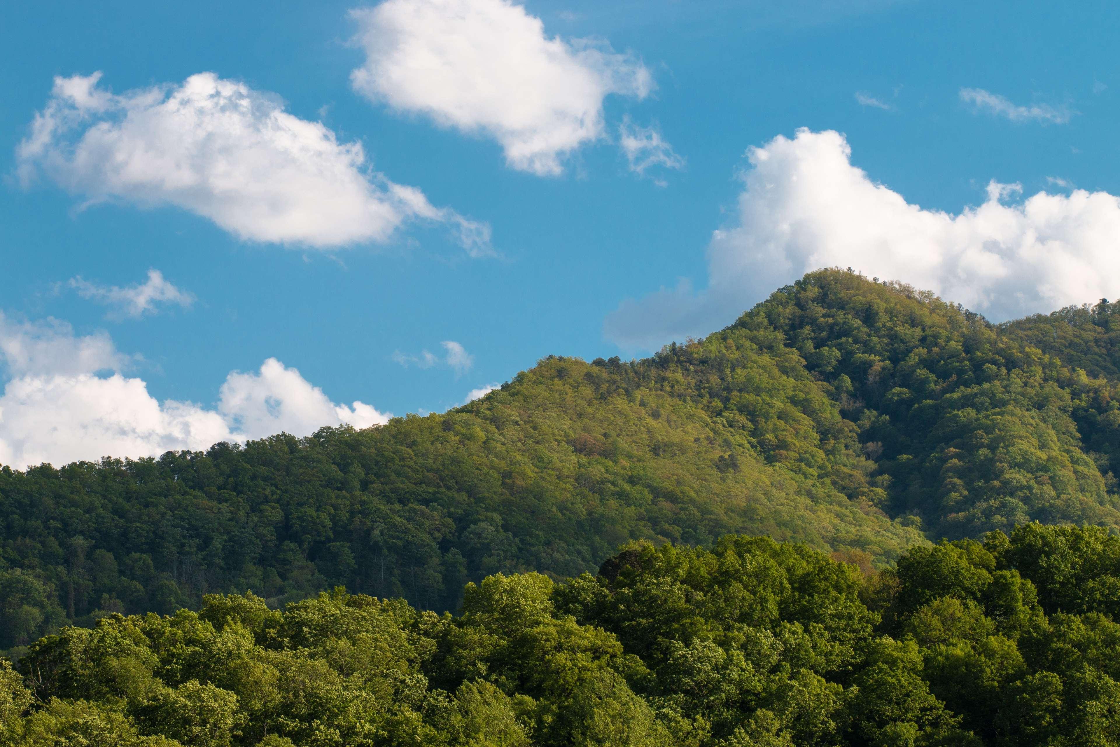 Best Western Smoky Mountain Inn Waynesville Bagian luar foto